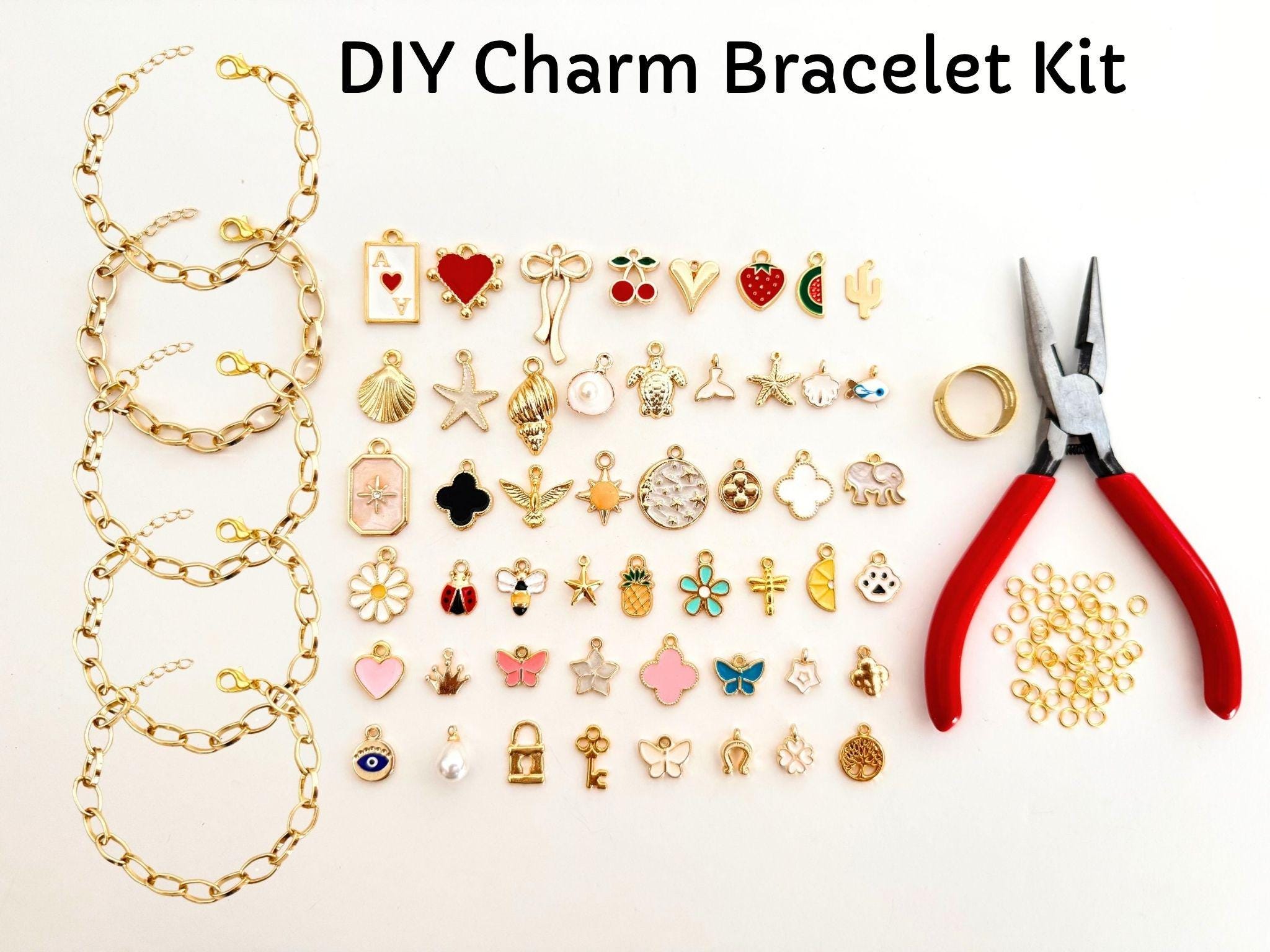 DIY Charm Bracelet Making Kit, 50 Gold Charms, 5 Paperclip Bracelets, Jump Rings & Pliers, Jewelry Craft Christmas Gift for Teens  Adults